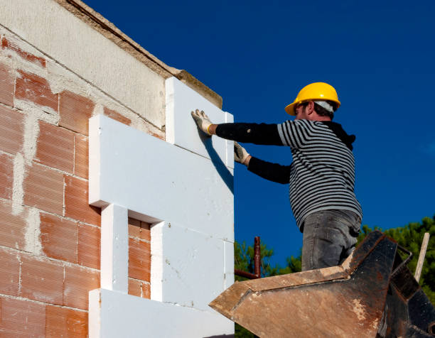 Best Best Insulation Companies  in Claxton, GA
