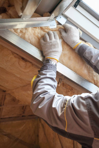 Best Insulation Inspection Services  in Claxton, GA