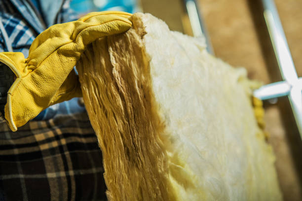 Best Blown-in Insulation  in Claxton, GA