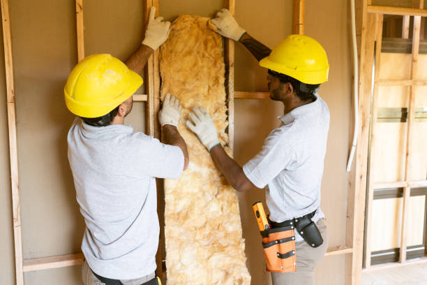 Best Attic Insulation Installation  in Claxton, GA