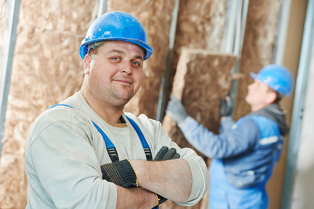 Best Local Insulation Services  in Claxton, GA